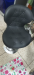 Reception chair sell lowest price